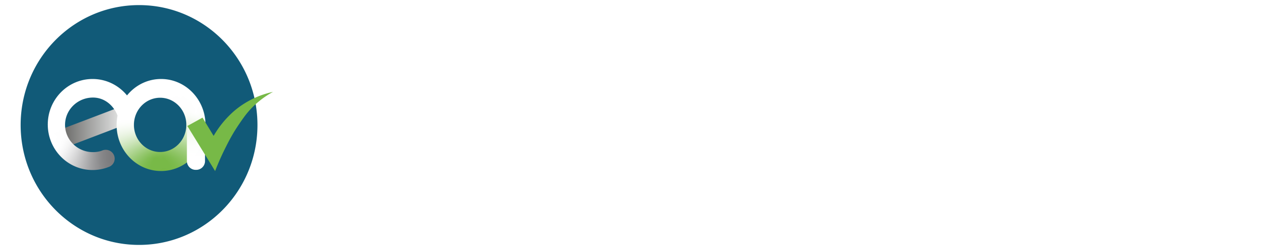 esquivel auditores